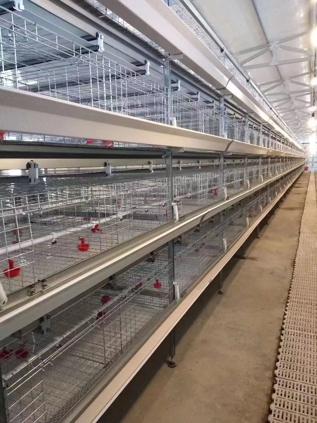Small tiered brooding chicken cage