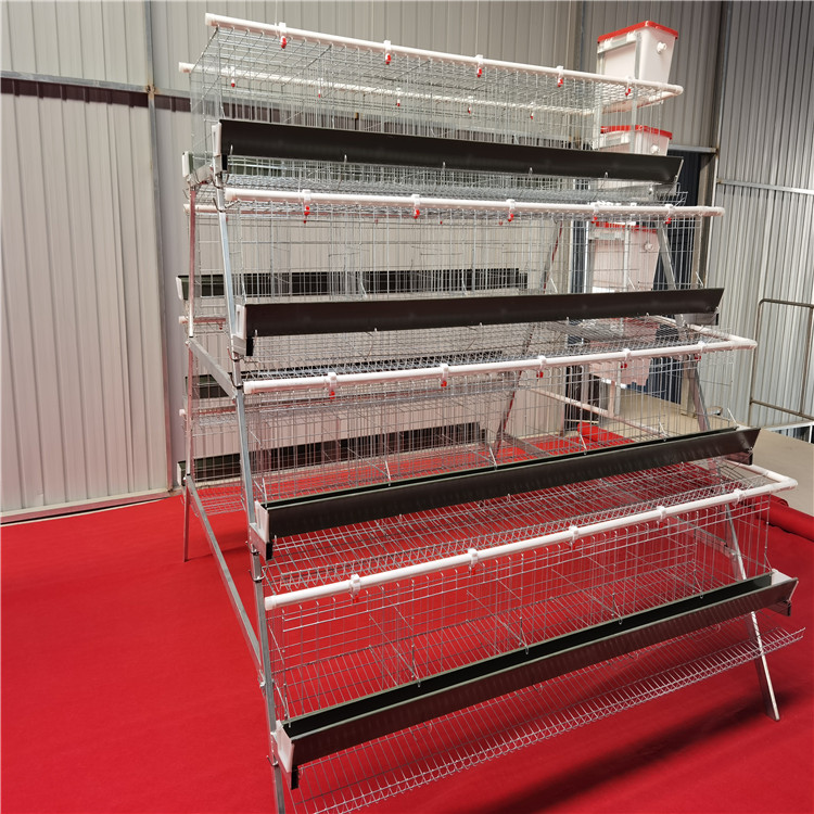 Type A layer chicken cage
