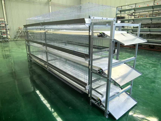 layer chicken cage