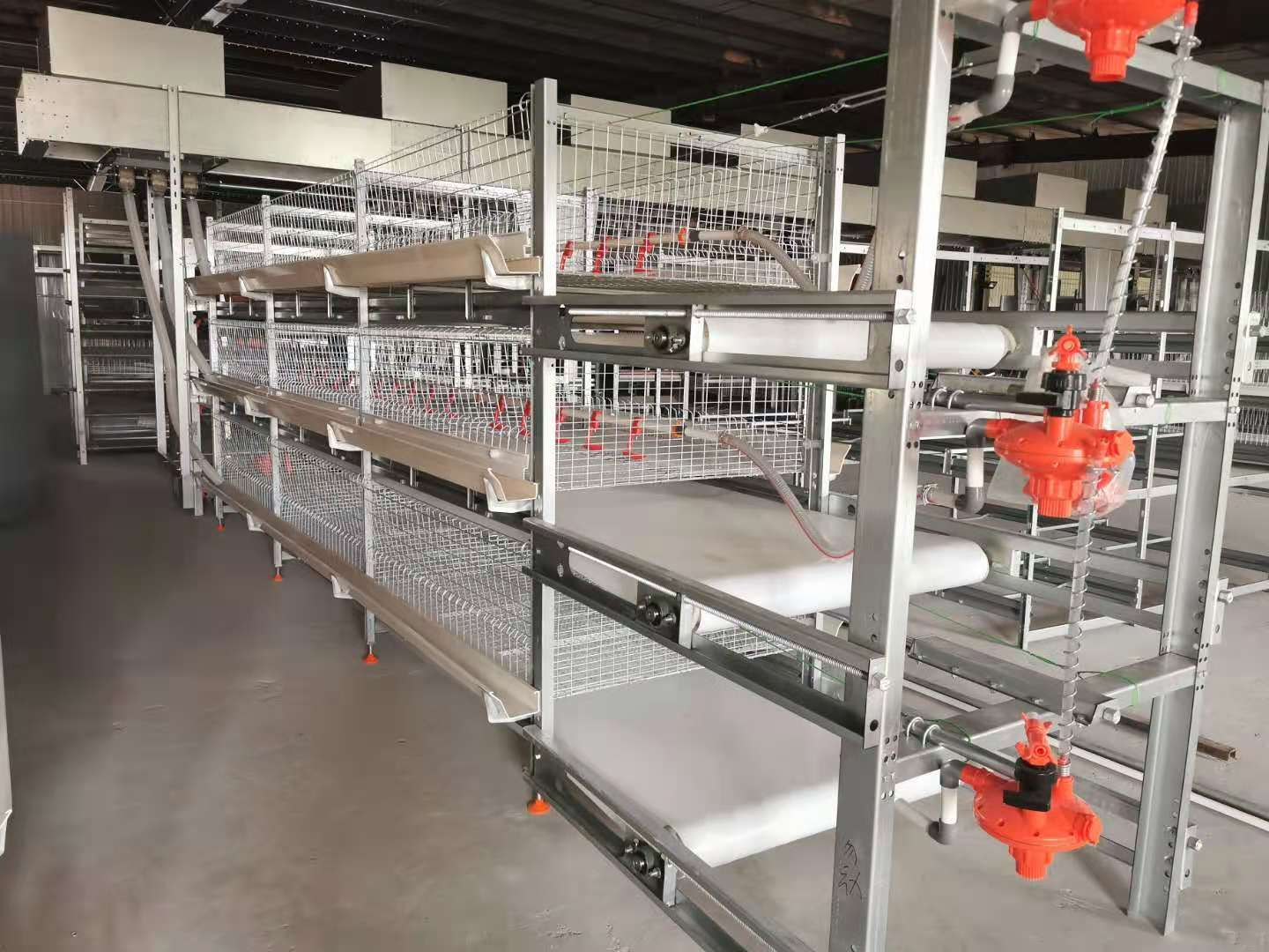 H-frame broiler cage