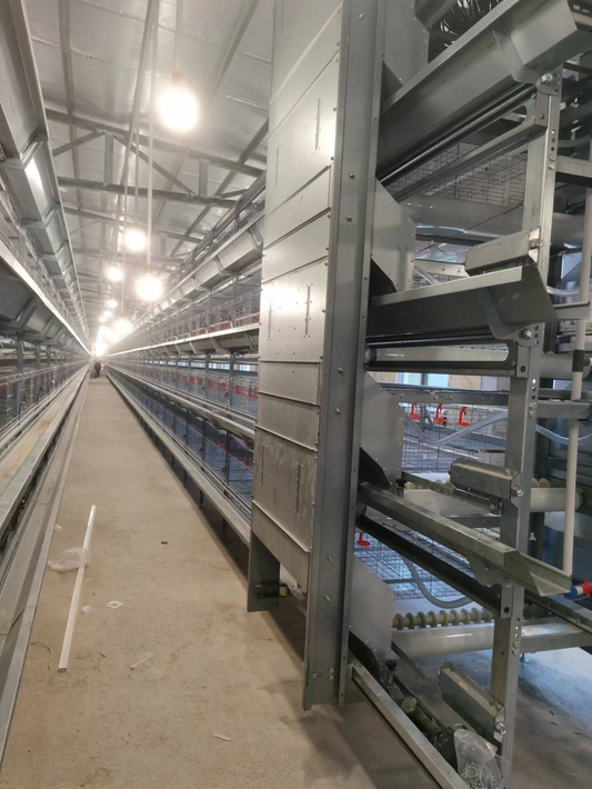 Large-layering fully automatic young chicken cage