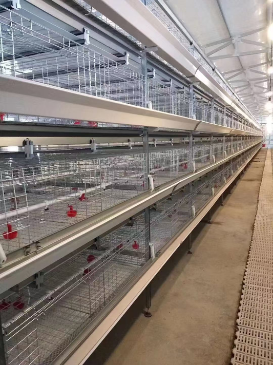 Small tiered brooding chicken cage
