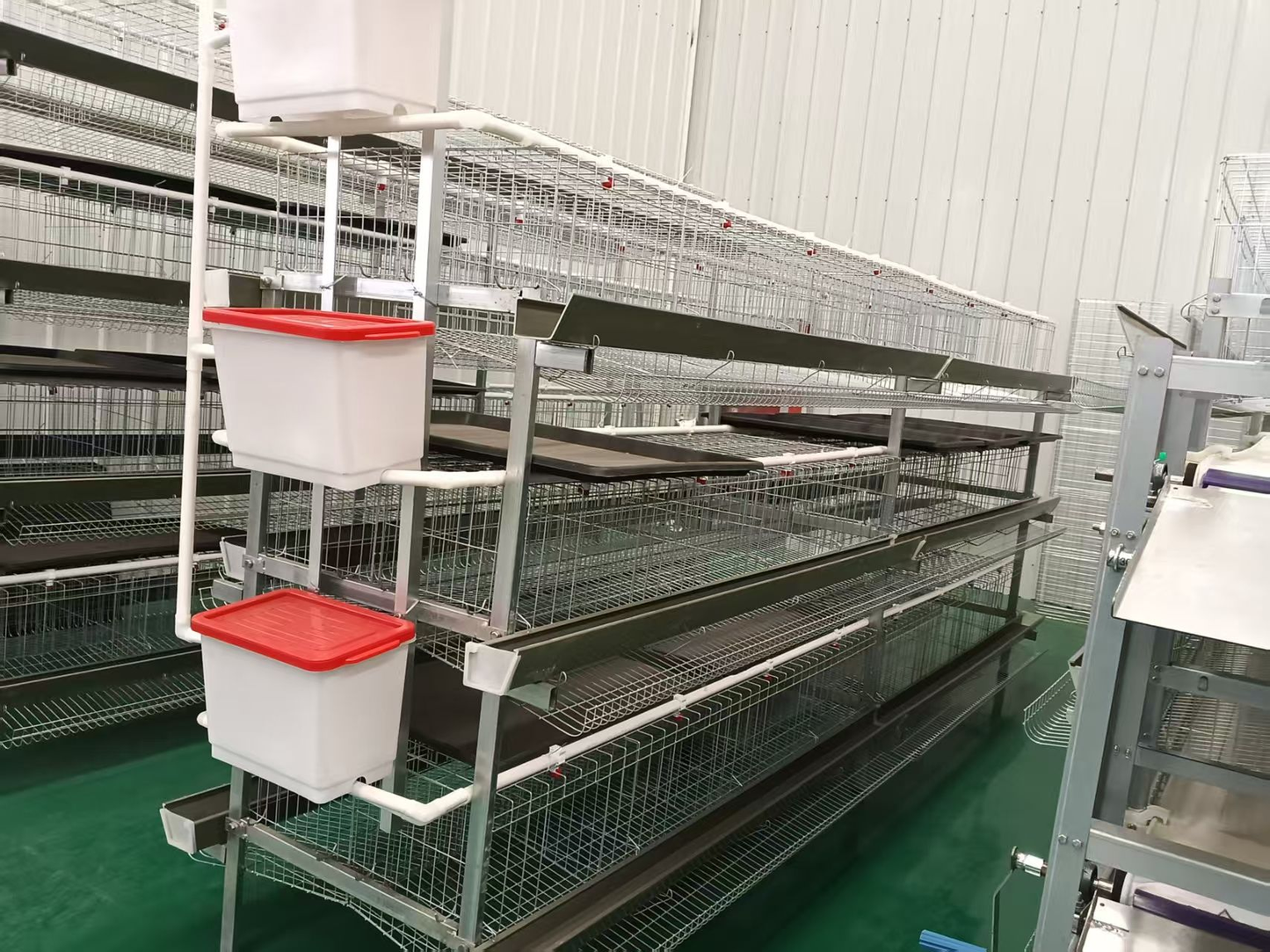 H-type layer cage with manure collection tray