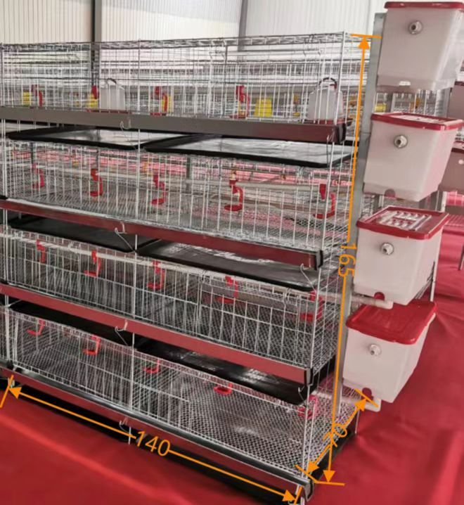 H-type manure tray broiler chick cage