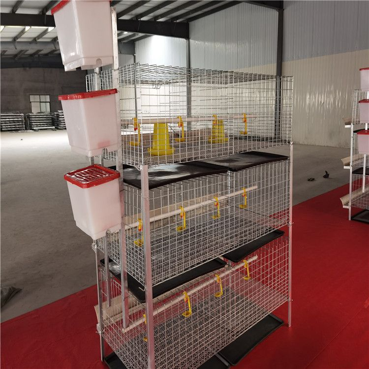 H-type Fecal tray broiler cage