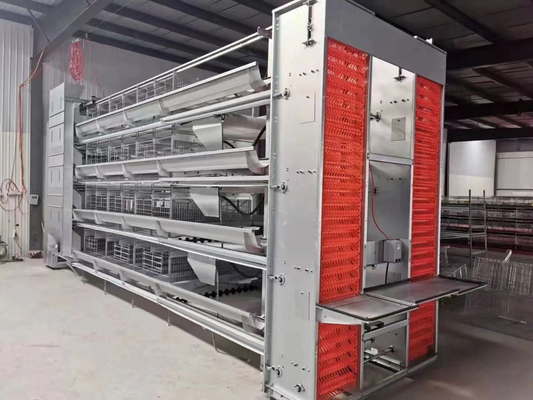 Large-layering fully automatic egg-laying chicken coop