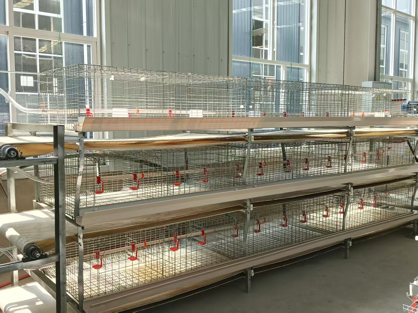 Yuanbao-shaped frame meat chicken cage
