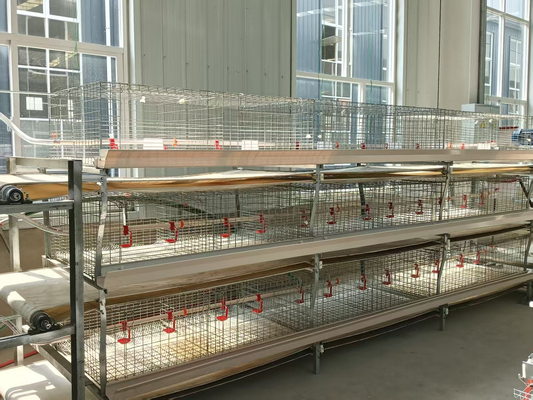 Yuanbao-shaped frame meat chicken cage
